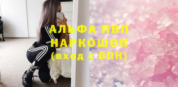 стаф Киренск