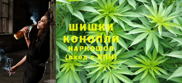 стаф Киренск