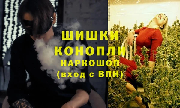 соль ск Касимов