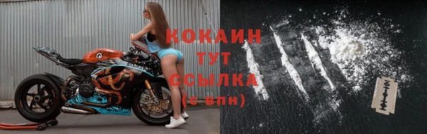 стаф Киренск