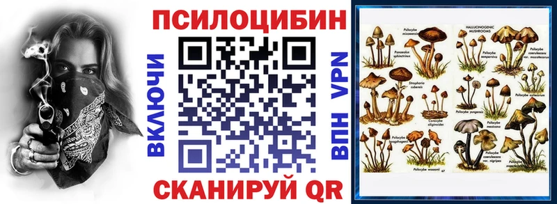 Псилоцибиновые грибы Magic Shrooms  Купить закладки  Новоржев 