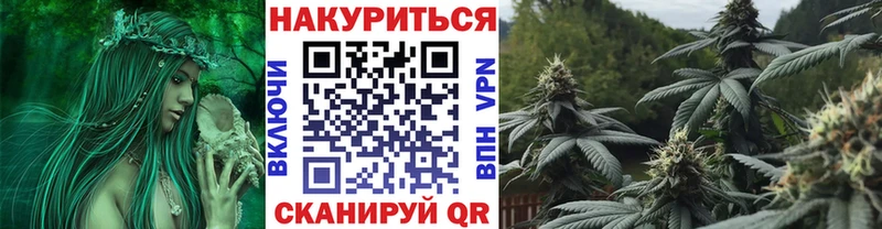 Бошки марихуана тримм  Купить закладки  Новоржев 